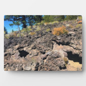 Lava Cast Forest, OR Fotoplatte (Vorderseite)