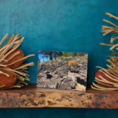 Lava Cast Forest, OR Fotoplatte (Seite)