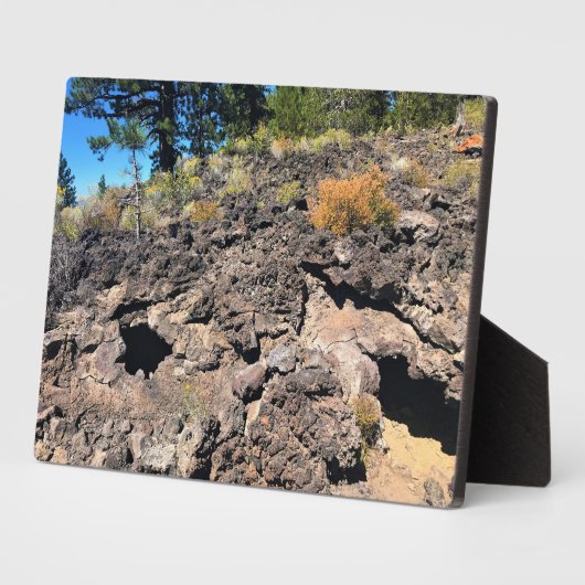 Lava Cast Forest, OR Fotoplatte (Seite)