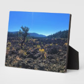 Lava Cast Forest, OR Fotoplatte (Seite)