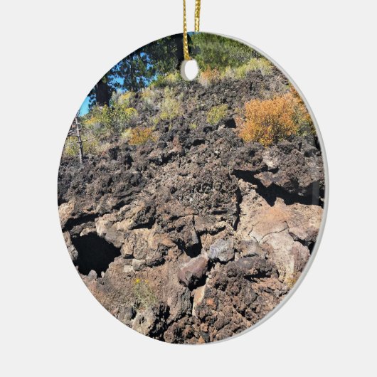 Lava Cast Forest, OR Keramik Ornament (Links)