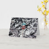 Lava Stopp, Hawai'i - Karte (Gelbe Blume)