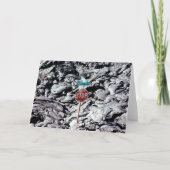 Lava Stopp, Hawai'i - Karte (Vorderseite)