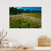 Lavalanche Lily Superbloom Poster (Küche)