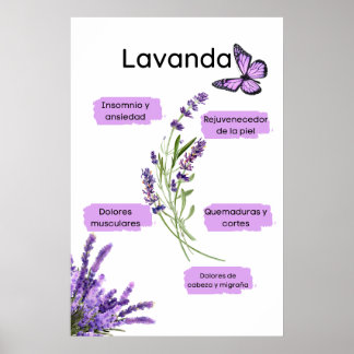 Lavanda y sus ießos en español poster