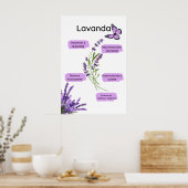 Lavanda y sus ießos en español poster (Küche)