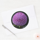 Lavander Dahlia Runder Aufkleber (Umschlag)