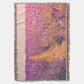 Lavander Decke (Vorderseite Vertikal)