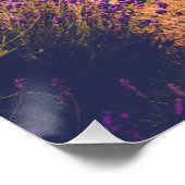 Lavander Poster (Ecke)