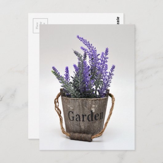 Lavander Postkarte (Vorne/Hinten)