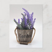 Lavander Postkarte (Vorderseite)