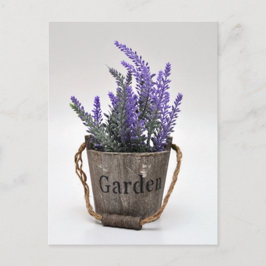Lavander Postkarte (Vorderseite)