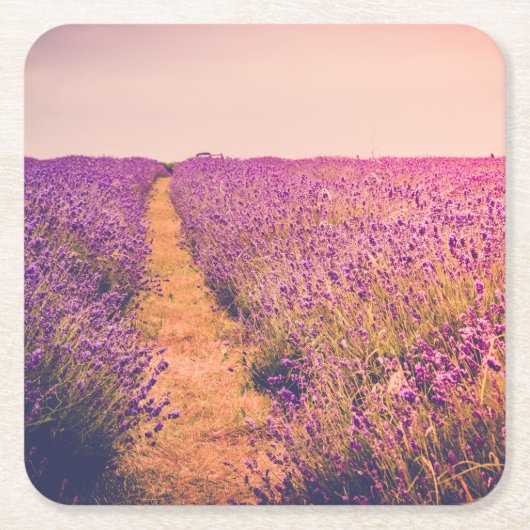 Lavander Rechteckiger Pappuntersetzer (Vorderseite)
