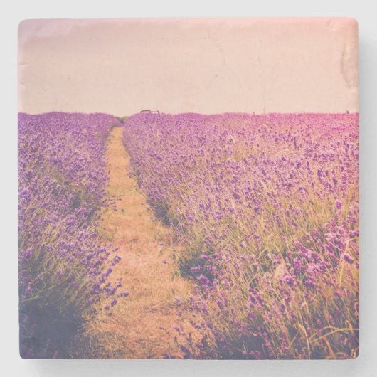 Lavander Steinuntersetzer (Vorderseite)