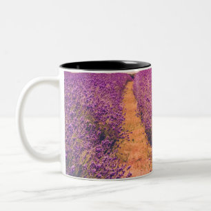 Lavander Zweifarbige Tasse