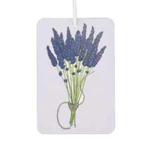 Lavandula Lavender Bunch Kraut Lila Blumengarten Autolufterfrischer