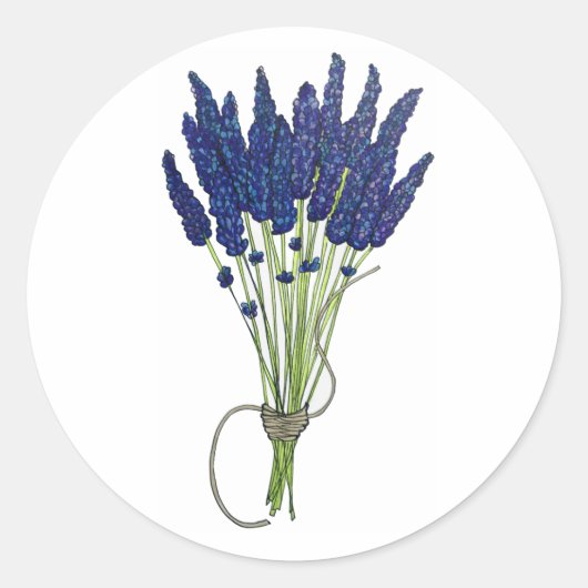 Lavandula Lavender Bunch Kraut Lila Blumengarten Runder Aufkleber (Vorderseite)