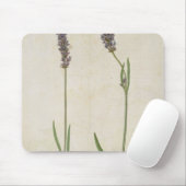 Lavandula officinalis (alter englischer Lavendel), Mousepad (Mit Mouse)