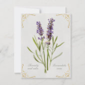 Lavandula Vera Serenity and Calm (Vorderseite)