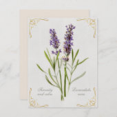 Lavandula Vera Serenity and Calm (Vorne/Hinten)