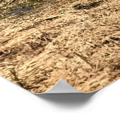 Lavasee, OR Poster (Ecke)