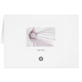 Lavatera Blume Macro Card (Rückseite Horizontal)