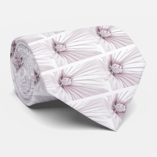 Lavatera Blume Macro Krawatte (Gerollt)