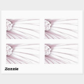 Lavatera Blume Macro Rechteckiger Aufkleber (Blatt)