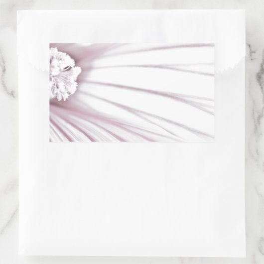 Lavatera Blume Macro Rechteckiger Aufkleber (Tasche)