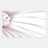 Lavatera Blume Macro Rechteckiger Aufkleber (Vorderseite)