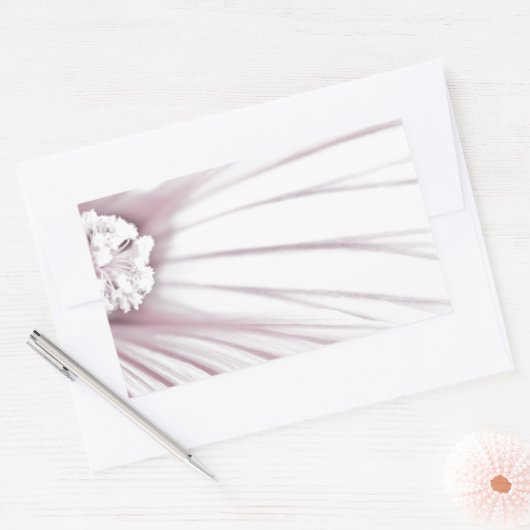 Lavatera Blume Macro Rechteckiger Aufkleber (Umschlag)