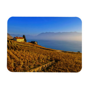 Lavaux Region, Waadt, die Schweiz Magnet