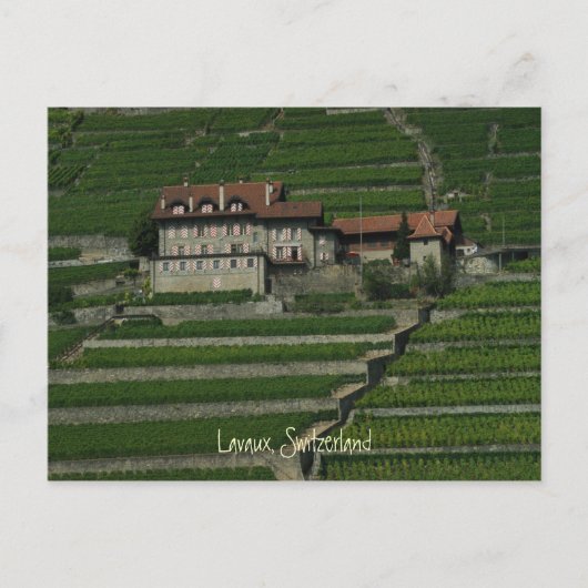 Lavaux, Schweiz Postkarte (Vorderseite)