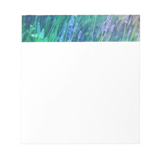 Lavendel 2 notizblock (Vorderseite)