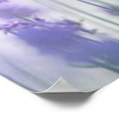 Lavendel 2 poster (Ecke)