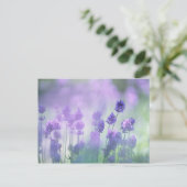 Lavendel 2 postkarte (Stehend Vorderseite)