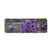 Lavendel am Meer (Vorne)