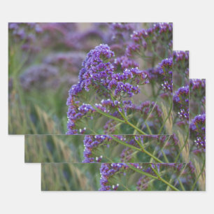Lavendel am Meer Geschenkpapier Set
