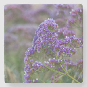 Lavendel am Meer Steinuntersetzer