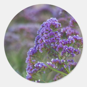 Lavendel am Ozean Runder Aufkleber