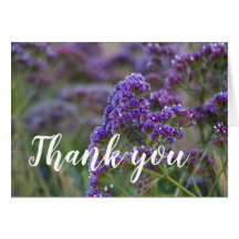 Lavendel am Ozean, vielen Dank