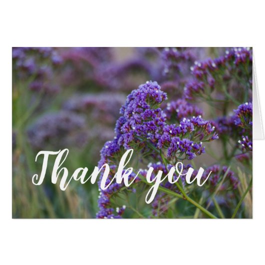 Lavendel am Ozean, vielen Dank (Vorderseite (Horizontal))