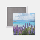 Lavendel am Seeufer Magnet (Vorderseite/Rückseite)