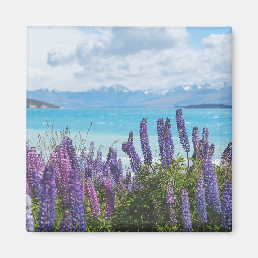 Lavendel am Seeufer Magnet (Vorne)