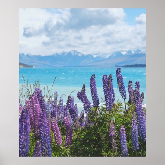 Lavendel am Seeufer Poster (Vorne)