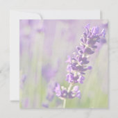 Lavendel ・ Ankündigung Datum freihalten (Rückseite)