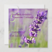 Lavendel ・ Ankündigung Datum freihalten (Vorderseite)