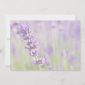 Lavendel ・ Ankündigung Datum freihalten (Rückseite)