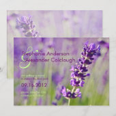 Lavendel ・ Ankündigung Datum freihalten (Vorne/Hinten)