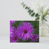 Lavendel Aster Postkarte (Stehend Vorderseite)